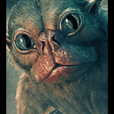 KAL