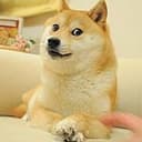 loyalDoge