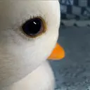 DAFUAN