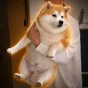 しばお