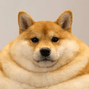 デブ