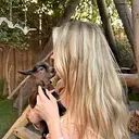Baby Goat