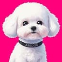 ABEDOG
