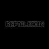 reptilcoin