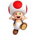 Toad