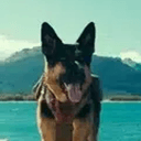 ODIN