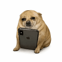 DEBTDOG