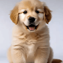 PUPPIES
