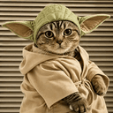 YODACAT