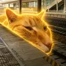 Tcat