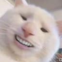 Who