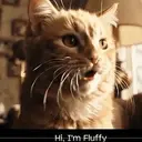 FLUFFY