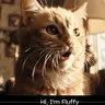 FLUFFY