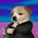 suitdog