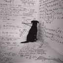 THESISDOG