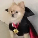 Pomula