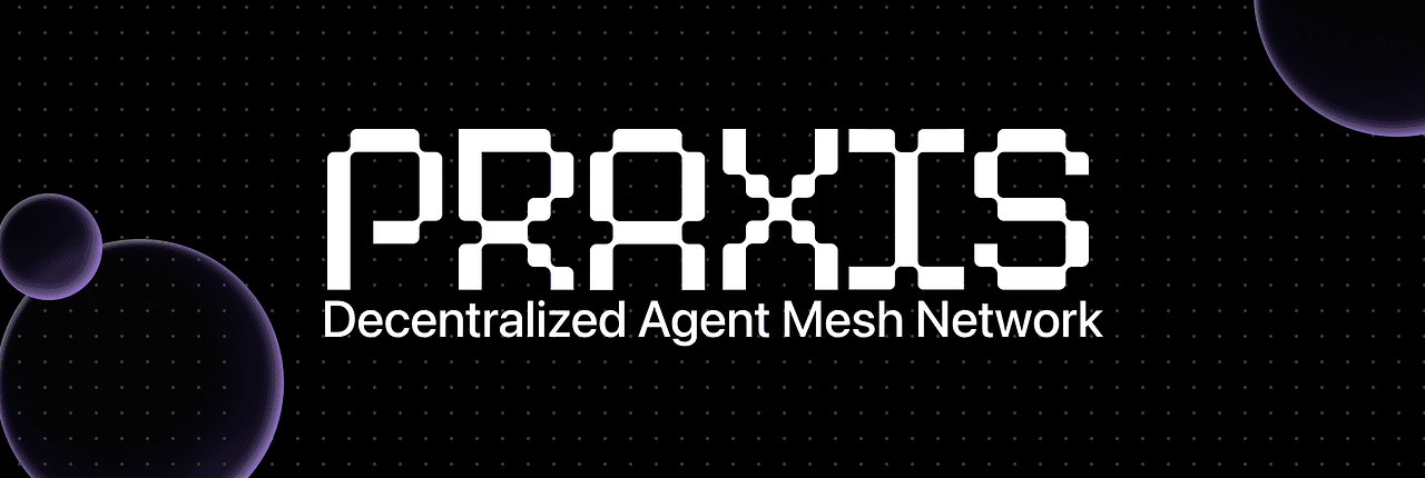 Praxis Banner