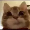 Tina