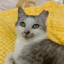 SOL