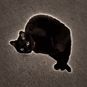 shrimpcat