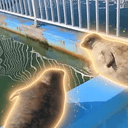 Seal Battle