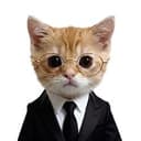 phdkitty