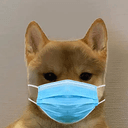 COVID