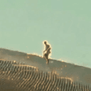 HUMAN