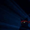 ninjacat