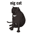 NIGCAT