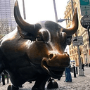 BULL