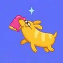 bDog