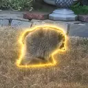 Danny