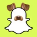 SNAPI