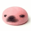 Desserts Dogs