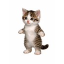 copycat