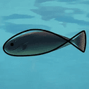 FIH
