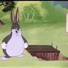 CHUNGUS