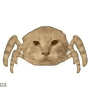 Spidercat
