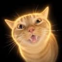 MEOWIN