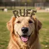 RUFF