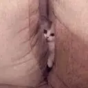 PUSSY⁠