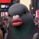 qird