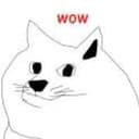 doge