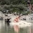 Moose