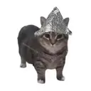 TINFOIL