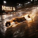 noodle
