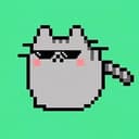 PUMPCAT