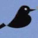 Magpie