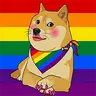 DOGE